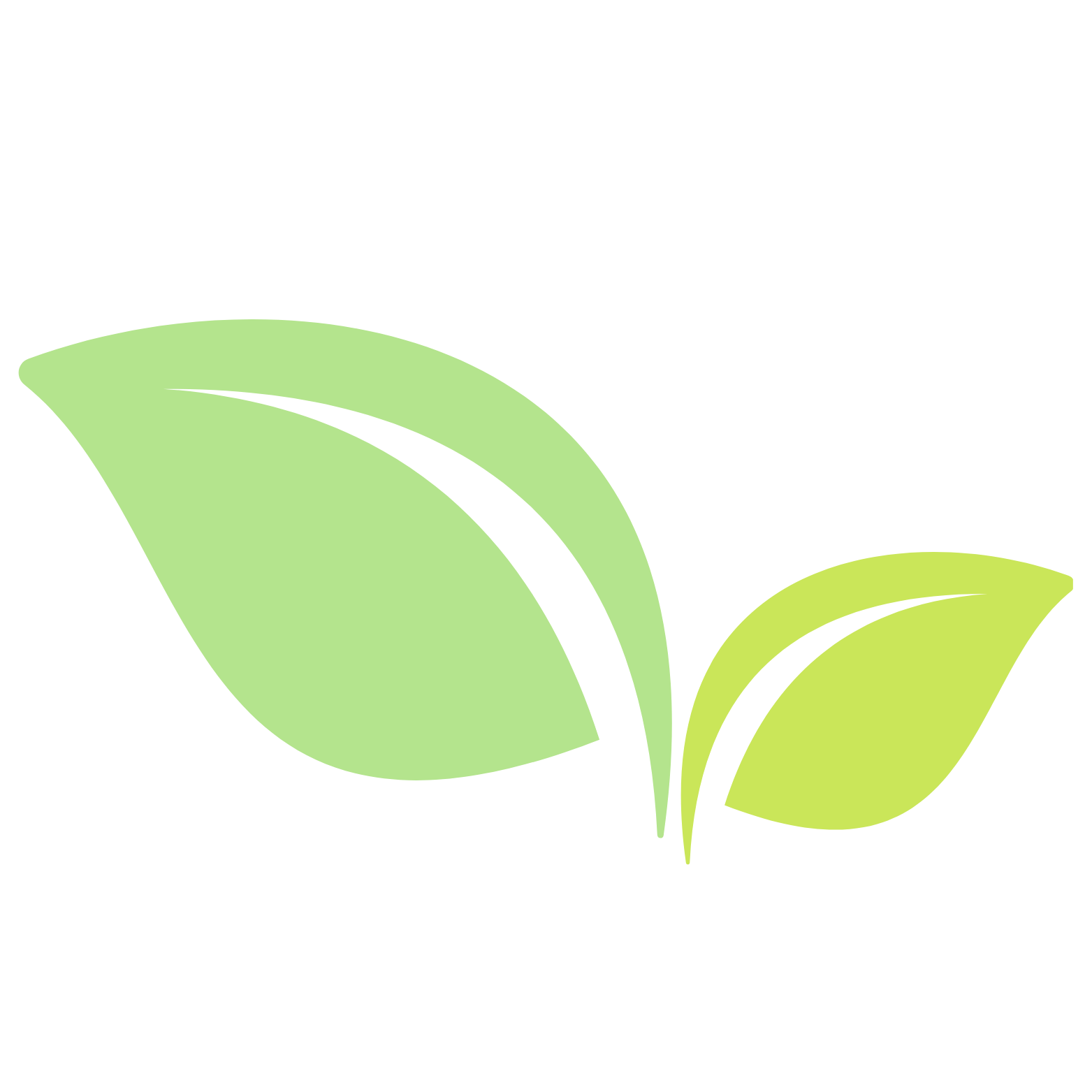 Logo Watermark